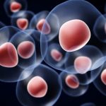 Kök Hücre Nedir? Kök Hücre Tedavisi Nasıl Yapılır