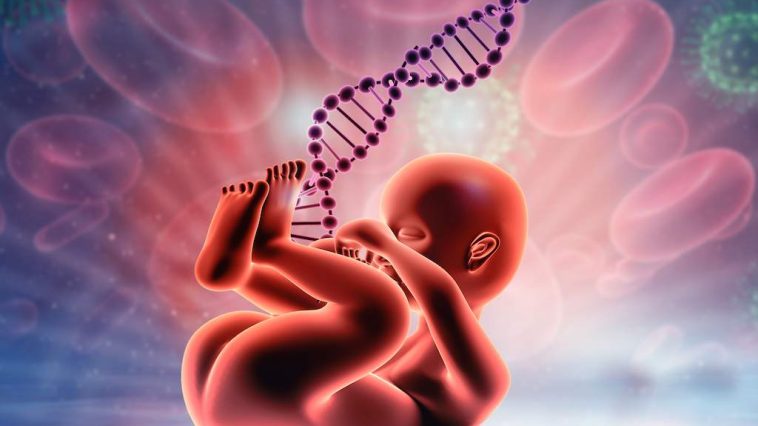 Istanbul Izmir Fetal Dna Testi